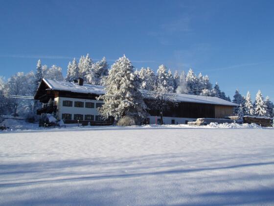 Willkommen im Winter