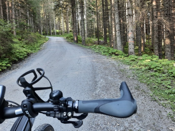 Mountainbiken