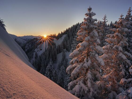 SBP_5680a-2-2 - ar_web