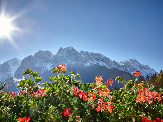 gm15-ab-004-marcgilsdorf