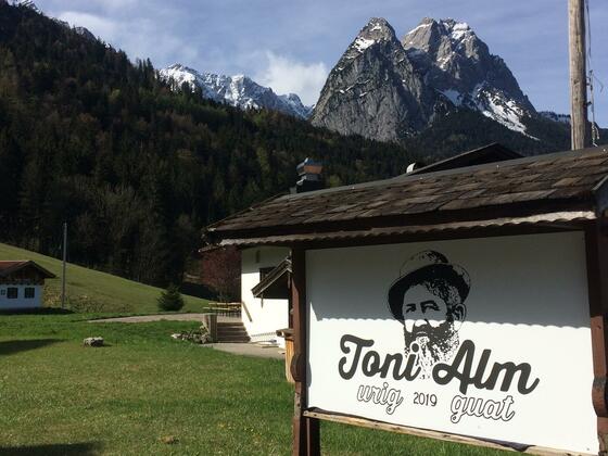 Toni Alm