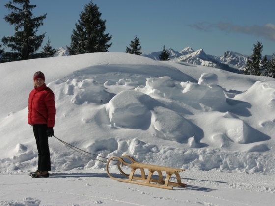 Rodeln am Hörnle