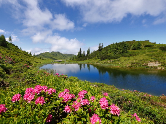 Trögseen