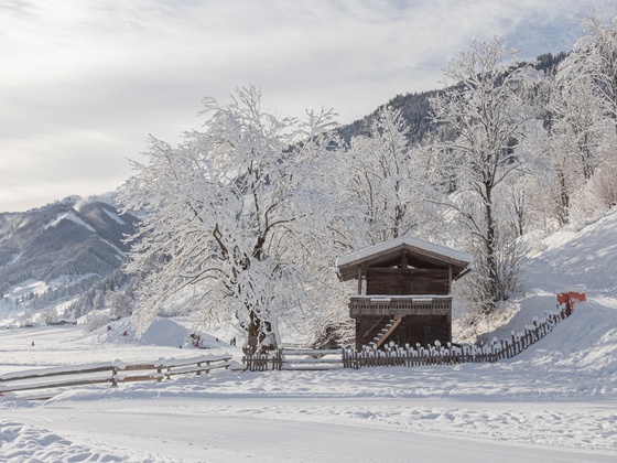 Start Langlaufloipe Großarl