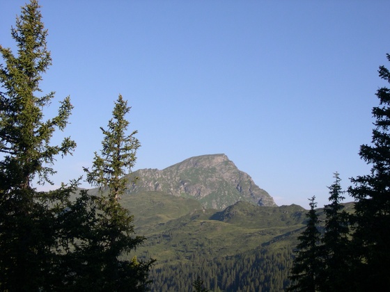 Gaisstein