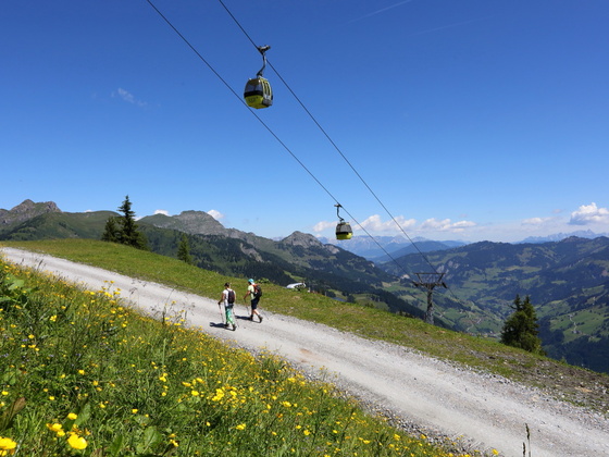 Panoramabahn