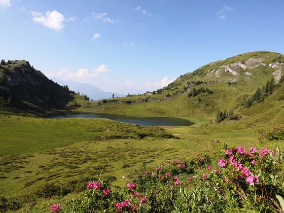 Unterer Paarsee