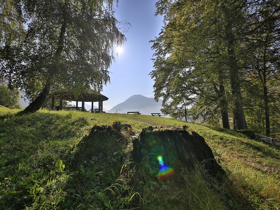 Kleines Paraplui Tegernsee