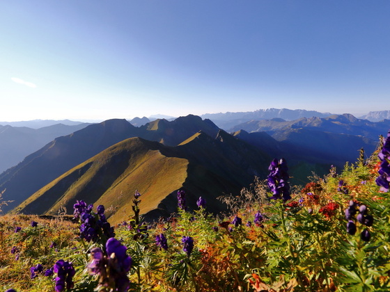Frauenkogel