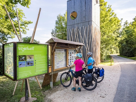 Am Vogelbeobachtungsturm bei Eglsee