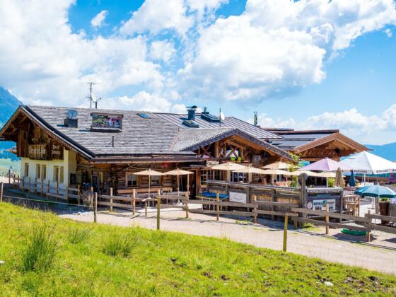 Tiergartenalm Sommer