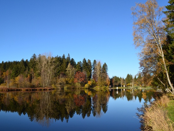 Waldseebad von der Beobachtunsgplattform