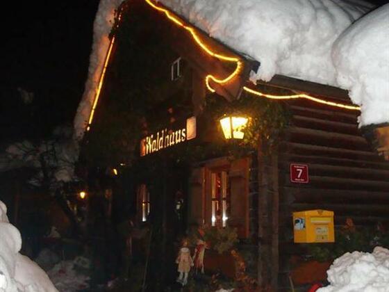 Waldhaus Winter