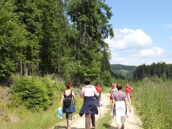 Eisenwurzenweg 608