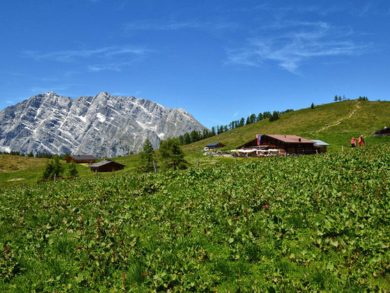 Die Gotzenalm, im Hintergrund die Watzmann Ostwand