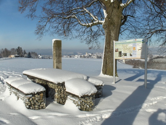Winter Kellberg