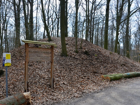 Keltenwall