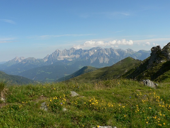 Der Hochwurzen Höhenweg führt immer sanfter werdend bis zur Hochwurzen Bergstation
