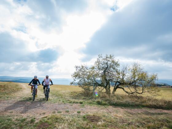 Mountainbiken in der Rhön
