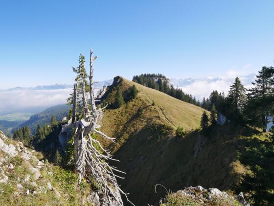 Blick über den Beslergrat