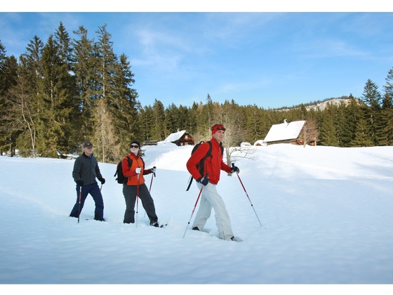 Schneeschuhwandern in Bad Goisern am Hallstättersee