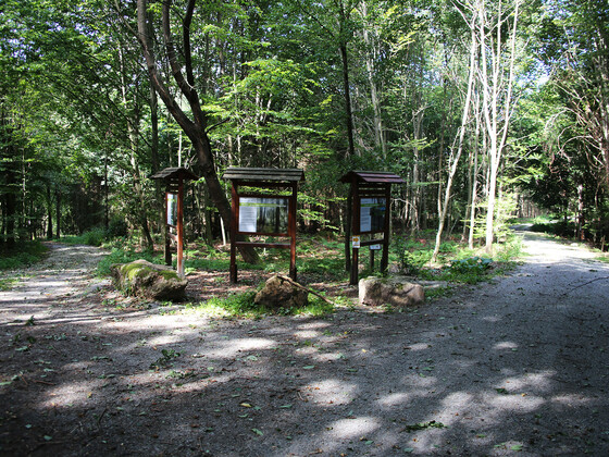 Infotafeln Klimapfad