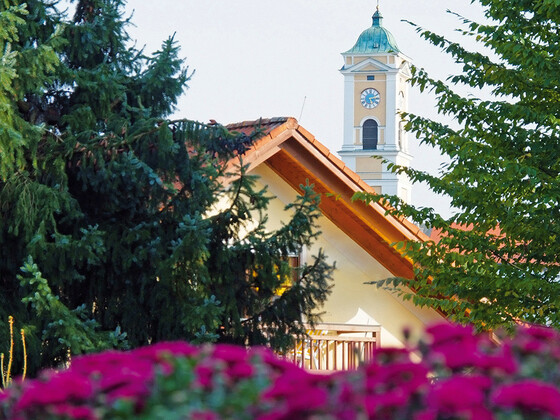 Appartements und Ferienwohnung Huber (Bad Birnbach)