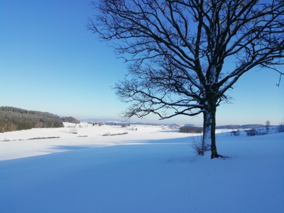 Blick von Eibenstein nach Summerau - Nordwaldkammweg II