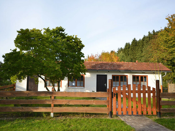 Ferienwohnung Holzhammer Hof (Bayerbach)