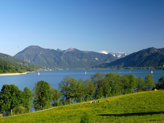 Der Tegernsee von Kaltenbrunn
