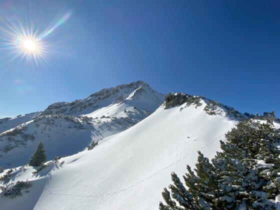 Blick zum Gipfelaufbau der Scheinbergspitze