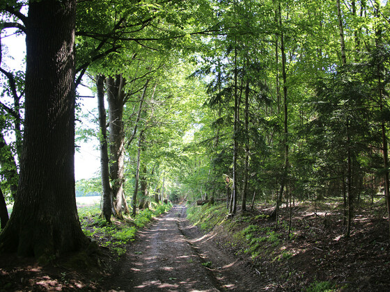 Schöner Wanderweg
