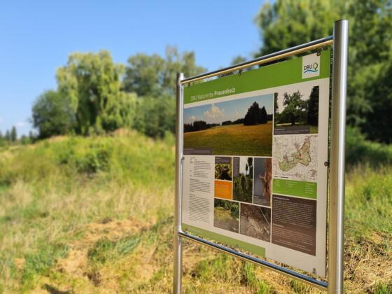 Infotafel zum Naturerbe Frauenholz bei Oberhinkofen