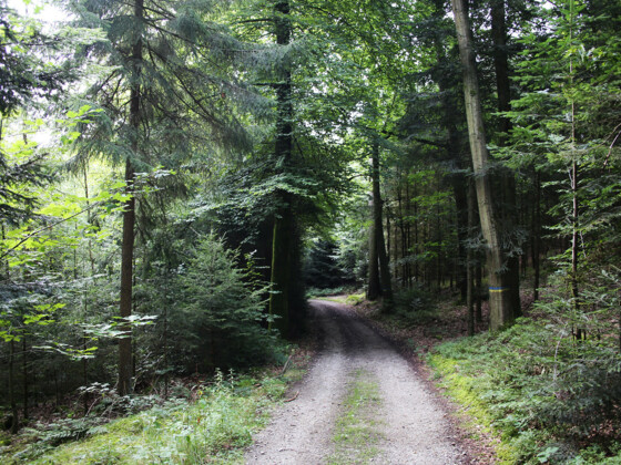 Schöner Wanderweg