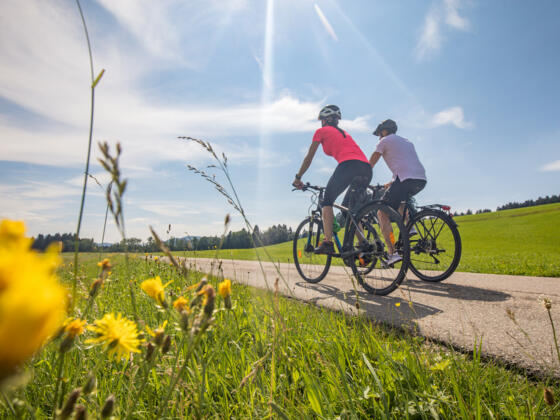 Radfahren inmitten von Natur im Landkreis Lindau (Bodensee)