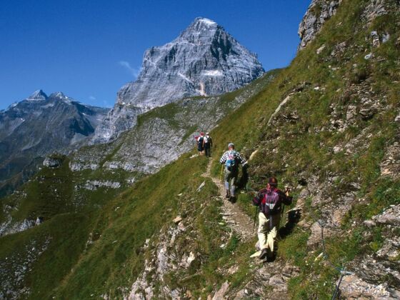 Der Große Pflerscher Höhenweg mit Tribulaun