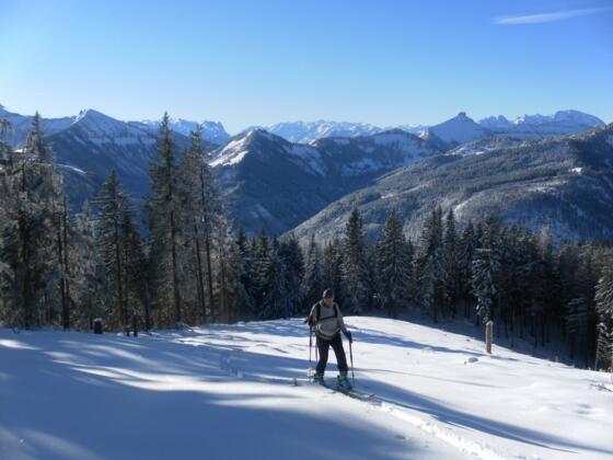 SW-Panorama aus der Schneise