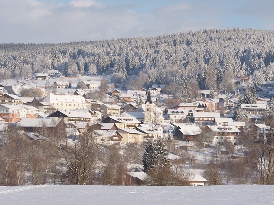 St. Englmar vom Weg nach Hilm