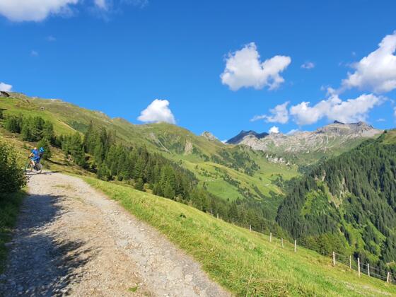 Zwischen Peeralm und Zehetner Alm