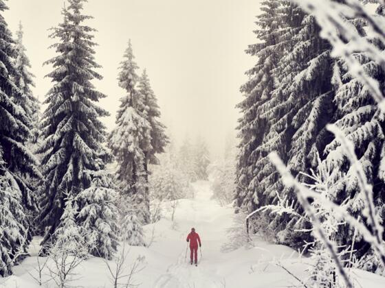 Ski- + Schneeschuhtour