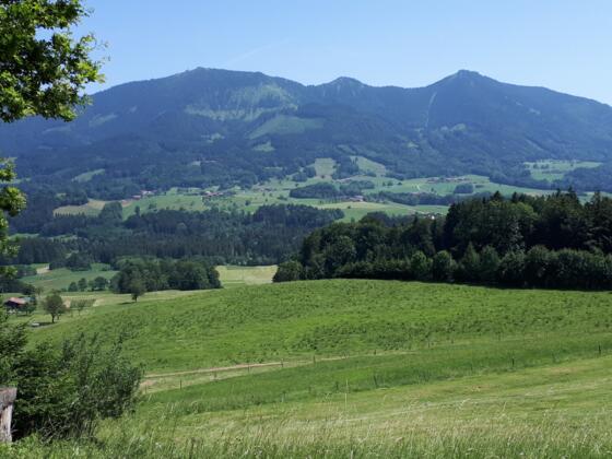Samerberg - Blick Hochries/Karkopf/Feichteck oberhalb Geisenkam/Weikersing