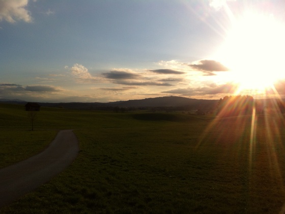 Blick auf die Alpen im Sonnenuntergang