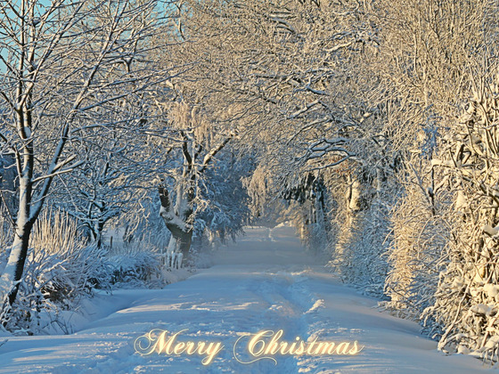 Winterlandschaft