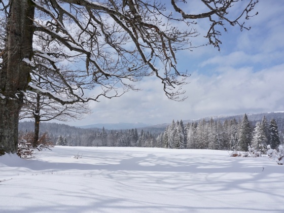 Hochschachten mit Blick zum Großen Arber (1456 m)