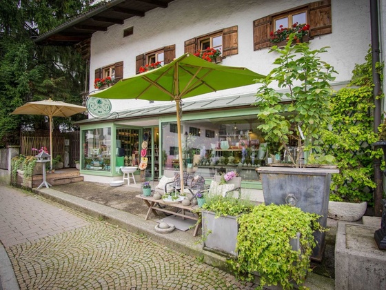 Wein-Blüte OHG