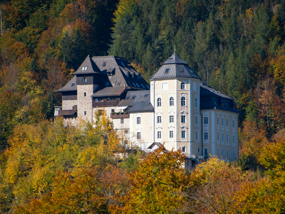 Schloss Klaus, Bibelschule der Missionsgemeinschaft der Fackelträger