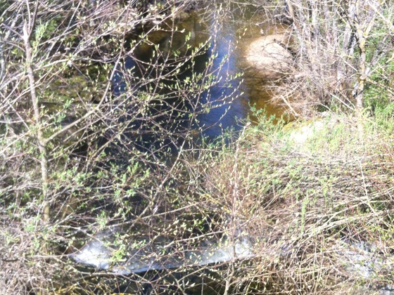 In saftigem Grün versteckt sich die Illach