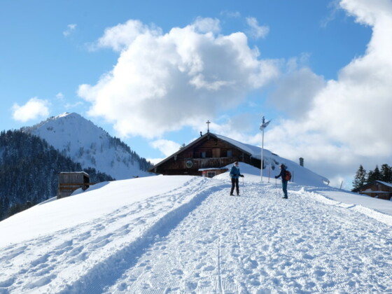 Die Aueralm in winterlicher Umgebung.