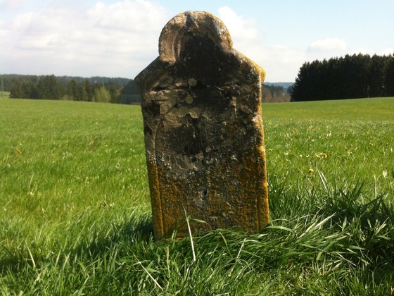 Inmitten der saftigen Wiesen befindet sich das kleine Wegkreuz