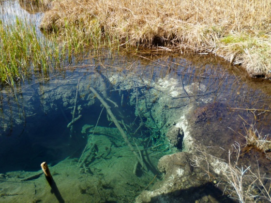 Durch das klare Wasser ist der trichterförmige Quelltopf vom Steg aus gut zu erkennen.